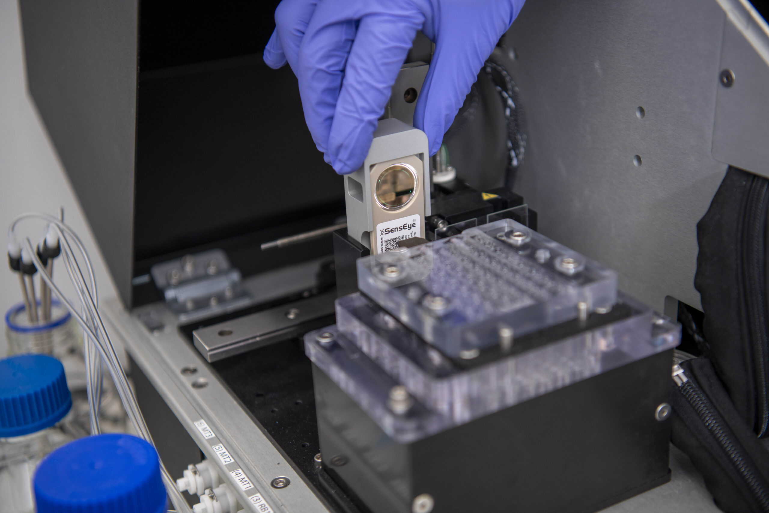 New Study Investigates Biomarkers for Kidney Health Assessment - Global ...
